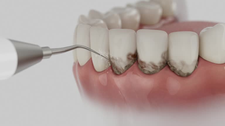 Reliable Dental contractor in El Granada, CA by Dentist Open Now